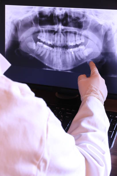 Best Emergency X-Rays and Diagnostics in Georgetown, CT